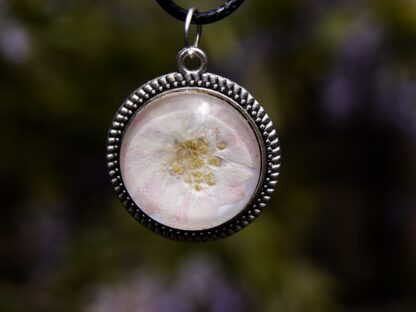 Nahaufnahme eines handgefertigten Cabochon-Anhängers mit echter Kirschblüte hinter klarem Glascabochon (20 mm), eingefasst in eine silberfarbene Metallfassung mit Perlrand.